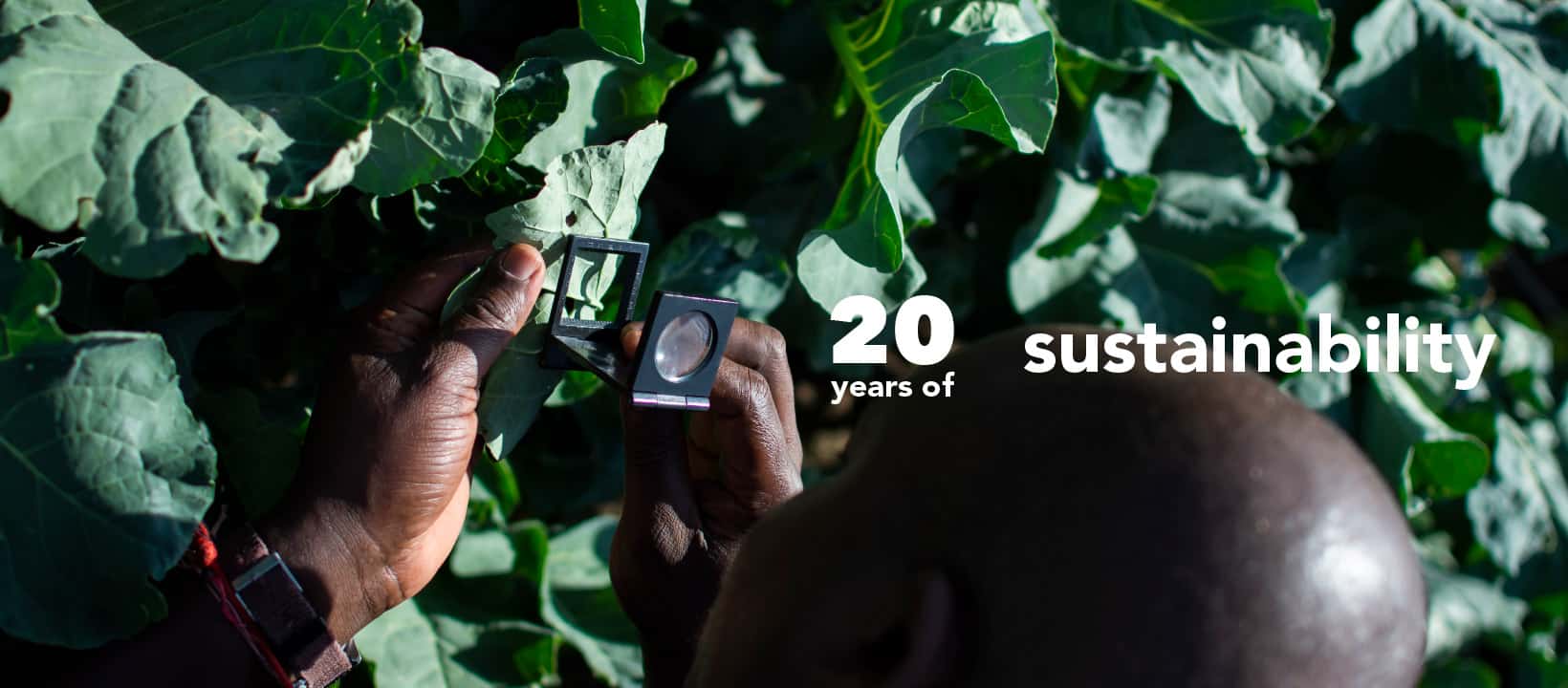 Celebrating 20 Years of Sustainability